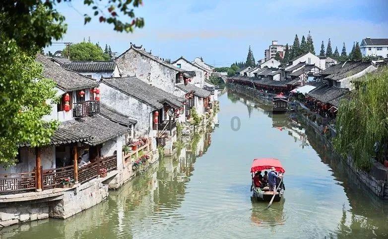 植物大战僵尸4